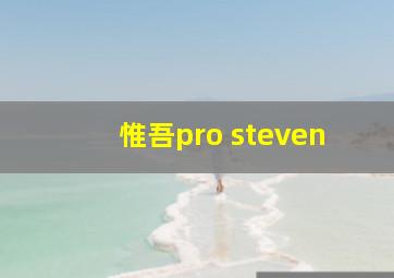 惟吾pro steven